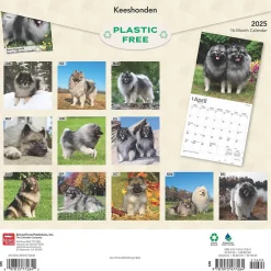 BrownTrout 2025 Keeshonden 12" x 12" Monthly Wall Calendar (9781975477264) Clearance