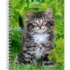 BrownTrout 2025 Kittens 6" x 7.75" Weekly Engagement Planner, Paper Cover, Multicolored (9781975473136) Discount