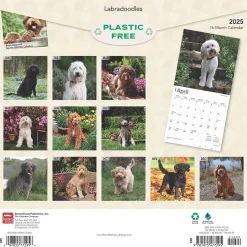 BrownTrout 2025 Labradoodles 12" x 24" Monthly Square Wall Calendar, (9781975477295)