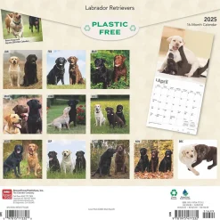 BrownTrout 2025 Labrador Retrievers 12" x 12" Monthly Wall Calendar (9781975477332) Clearance
