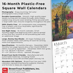 BrownTrout 2025 Land of 10000 Lakes Minnesota Places 12