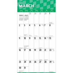 BrownTrout 2025 Large Print 12