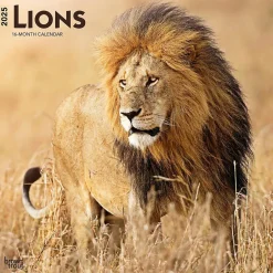 BrownTrout 2025 Lions 12" x 12" Monthly Wall Calendar (9781975476458) Best