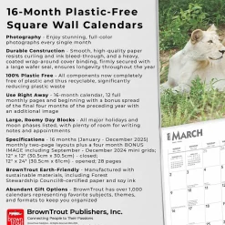 BrownTrout 2025 Lions 12