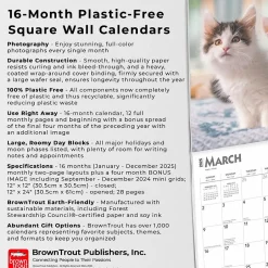 BrownTrout 2025 Maine Coon Cats 12