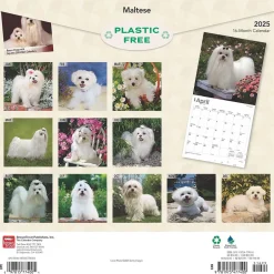 BrownTrout 2025 Maltese 12" x 12" Monthly Square Wall Calendar (9781975477400) Best