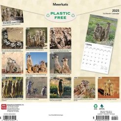 BrownTrout 2025 Meerkats 12" x 12" Monthly Square Wall Calendar (9781975475215) Online