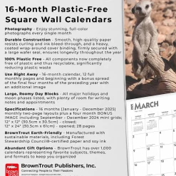 BrownTrout 2025 Meerkats 12