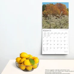 BrownTrout 2025 Michigan Nature 12