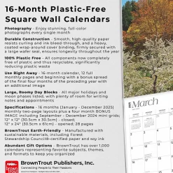 BrownTrout 2025 Michigan Nature 12