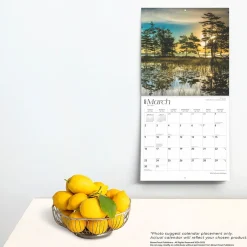 BrownTrout 2025 Michigan Wild & Scenic 12