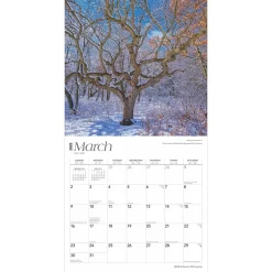 BrownTrout 2025 Minnesota Wild & Scenic 12