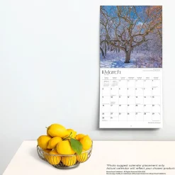 BrownTrout 2025 Minnesota Wild & Scenic 12