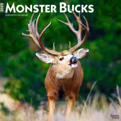 BrownTrout 2025 Monster Bucks 12" x 24" Monthly Square Wall Calendar (9781975477448) Clearance