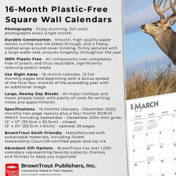 BrownTrout 2025 Monster Bucks 12