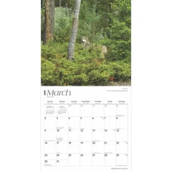 BrownTrout 2025 Montana Wild & Scenic 12