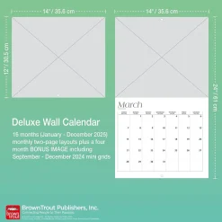 BrownTrout 2025 NASA Explore the Universe 7