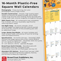 BrownTrout 2025 National Day 12