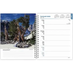 BrownTrout 2025 National Parks 6