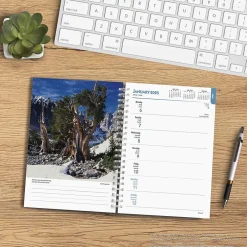 BrownTrout 2025 National Parks 6