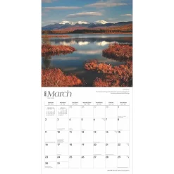 BrownTrout 2025 New Hampshire Wild & Scenic 12