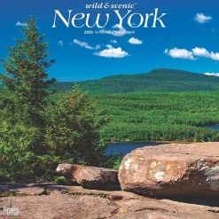 BrownTrout 2025 New York Wild & Scenic 12" x 24" Monthly Square Wall Calendar (9781975475437) Discount