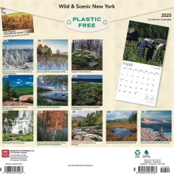 BrownTrout 2025 New York Wild & Scenic 12" x 24" Monthly Square Wall Calendar (9781975475437) Discount