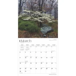 BrownTrout 2025 New York Wild & Scenic 12