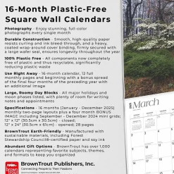 BrownTrout 2025 New York Wild & Scenic 12