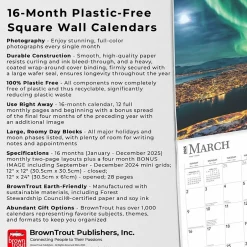 BrownTrout 2025 Norway 12