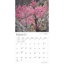 BrownTrout 2025 Oklahoma Wild & Scenic 12