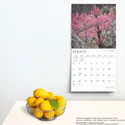 BrownTrout 2025 Oklahoma Wild & Scenic 12