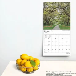 BrownTrout 2025 Palmetto State South Carolina Places 12