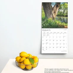 BrownTrout 2025 Pennsylvania Wild & Scenic 12