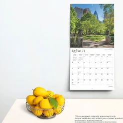 BrownTrout 2025 Philadelphia 12