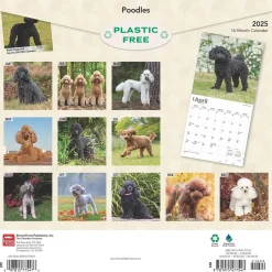 BrownTrout 2025 Poodles 12" x 12" Monthly Wall Calendar (9781975477547) Clearance