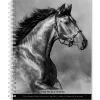 BrownTrout 2025 Portrait Series: The Noble Horse 6" x 7.75" Weekly Engagement Planner, Paper Cover, Multicolored (9781975473228) Hot