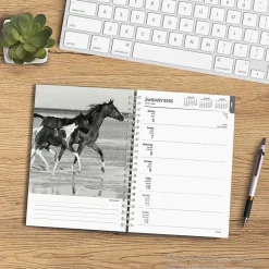 BrownTrout 2025 Portrait Series: The Noble Horse 6