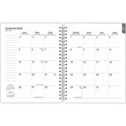 BrownTrout 2025 Portrait Series: The Regal Cat 6