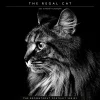 BrownTrout 2025 Portrait Series: The Regal Cat 12" x 12" Monthly Wall Calendar (9781975476809) Online