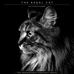 BrownTrout 2025 Portrait Series: The Regal Cat 12" x 12" Monthly Wall Calendar (9781975476809) Online