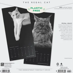 BrownTrout 2025 Portrait Series: The Regal Cat 12" x 12" Monthly Wall Calendar (9781975476809) Online