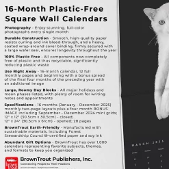 BrownTrout 2025 Portrait Series: The Regal Cat 12