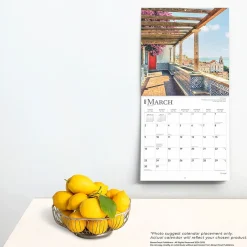 BrownTrout 2025 Portugal 12