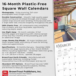 BrownTrout 2025 Portugal 12