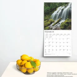 BrownTrout 2025 Psalms 12