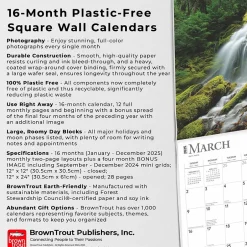 BrownTrout 2025 Psalms 12