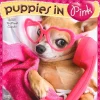 BrownTrout 2025 Puppies in Pink 12" x 12" Monthly Wall Calendar (9781975483166) Outlet