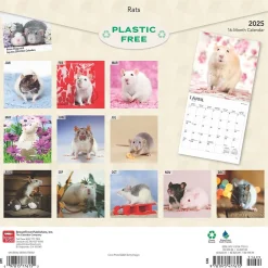 BrownTrout 2025 Rats 12" x 12" Monthly Wall Calendar (9781975477615) Online