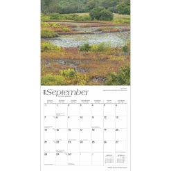 BrownTrout 2025 Rhode Island Wild & Scenic 12